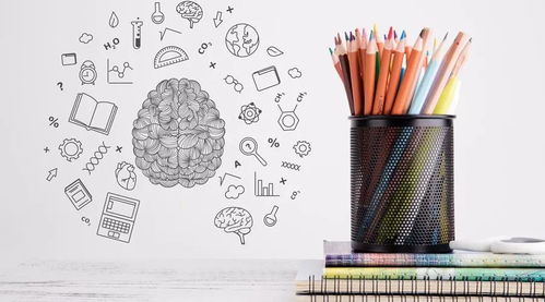 建材行業(yè)商標(biāo)注冊(cè)的類別有哪些 如何申請(qǐng)